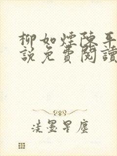 柳如烟陈平安小说免费阅读全文封面
