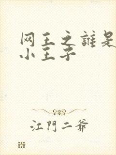 网王之谁是我的小王子封面