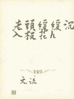 老头缓缓沉腰进入校花h