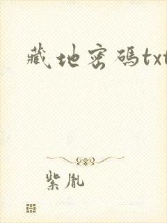 藏地密码txt