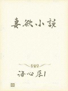妻欲小说