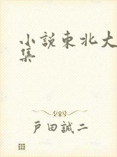 小说东北大炕全集封面