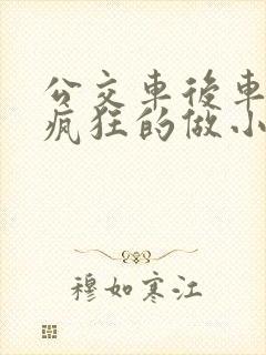 公交车后车座的疯狂的做小