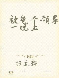 被几个领导玩弄一晚上