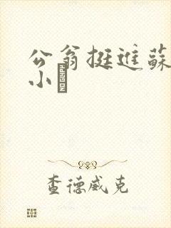 公翁挺进苏玥的小泬