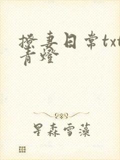 撩妻日常txt青灯