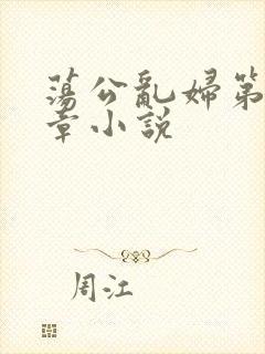 荡公乱妇第51章小说