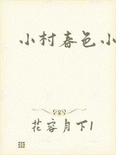 小村春色小说