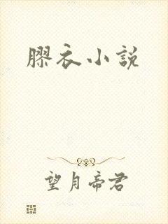 胶衣小说封面