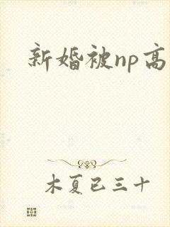 新婚被np高h封面