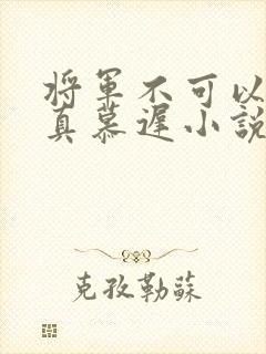 将军不可以魏云真慕迟小说笔趣阁封面