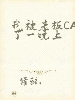 我被老板CAO了一晚上