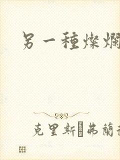 另一种灿烂生活