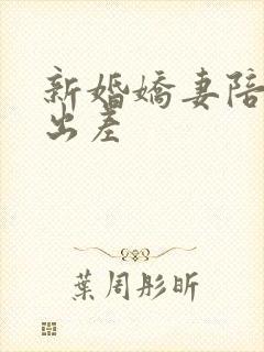 新婚娇妻陪局长出差封面