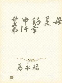 掌中的美母版主第14章