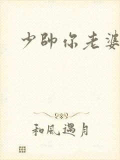 少帅你老婆
