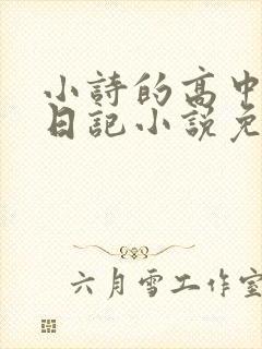 小诗的高中成长日记小说免费阅读