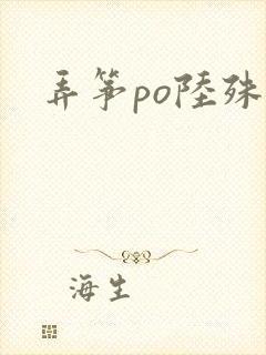 弄筝po陆殊词