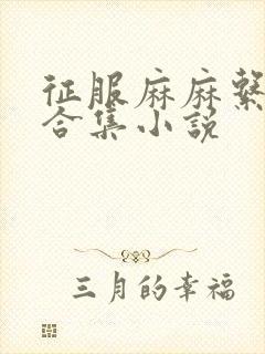 征服麻麻系列大合集小说封面