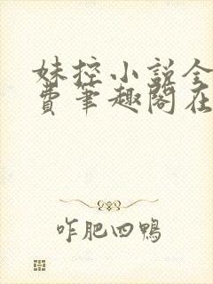 妹控小说全文免费笔趣阁在线阅读