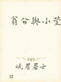 翁公与小莹封面