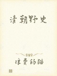 清朝野史