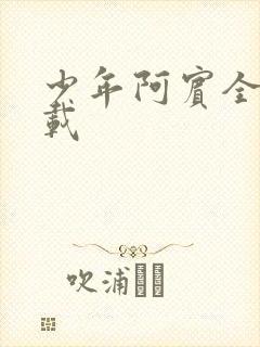少年阿宾全集下载封面