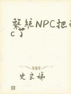 系统NPC把我c了