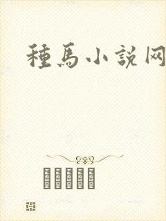 种马小说网