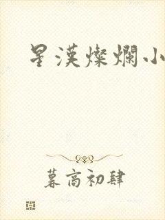 星汉灿烂小说