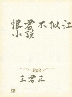 恨君不似江楼月小说