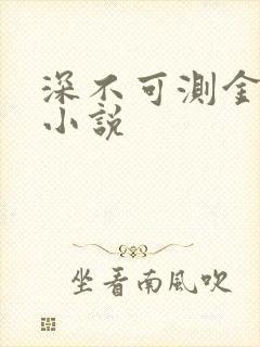 深不可测金银花小说