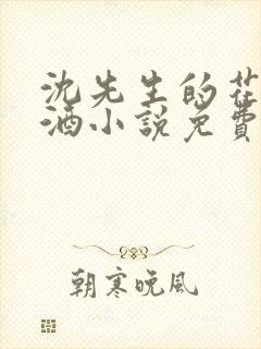 沈先生的花式调酒小说免费阅读