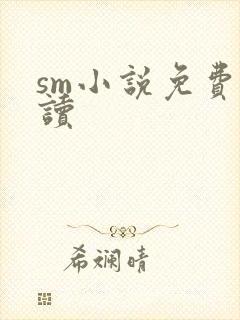 sm小说免费阅读