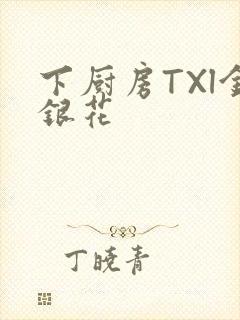 下厨房TXl金银花