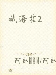 藏海花2