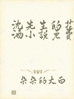 沈先生的花式调酒小说免费阅读