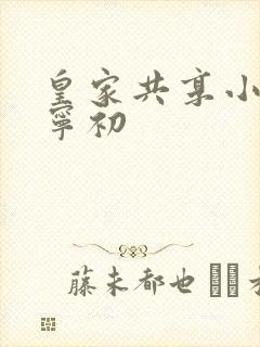 皇家共享小公主宁初