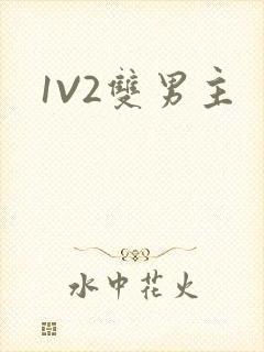 1V2双男主封面