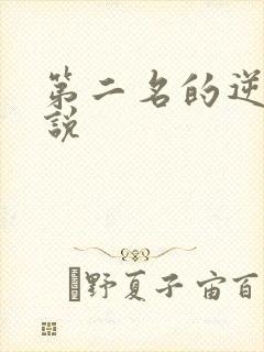 第二名的逆袭小说