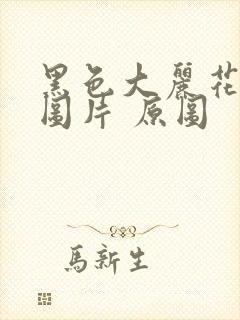 黑色大丽花真实图片 原图封面