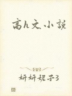 高h文小说封面