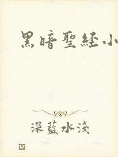 黑暗圣经小说
