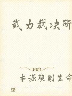 武力裁决所