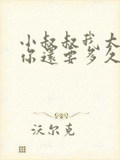 小叔叔我太累了你还要多久封面