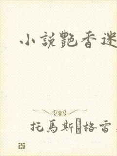 小说艳香迷醉