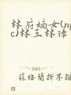 林府嫡女(npc)林玉林璋封面