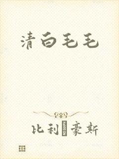清白毛毛