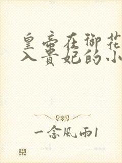 皇帝在御花园进入贵妃的小说