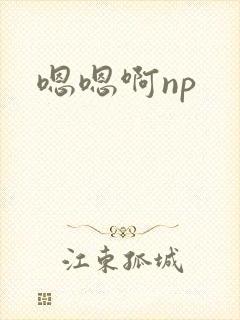 嗯嗯啊np